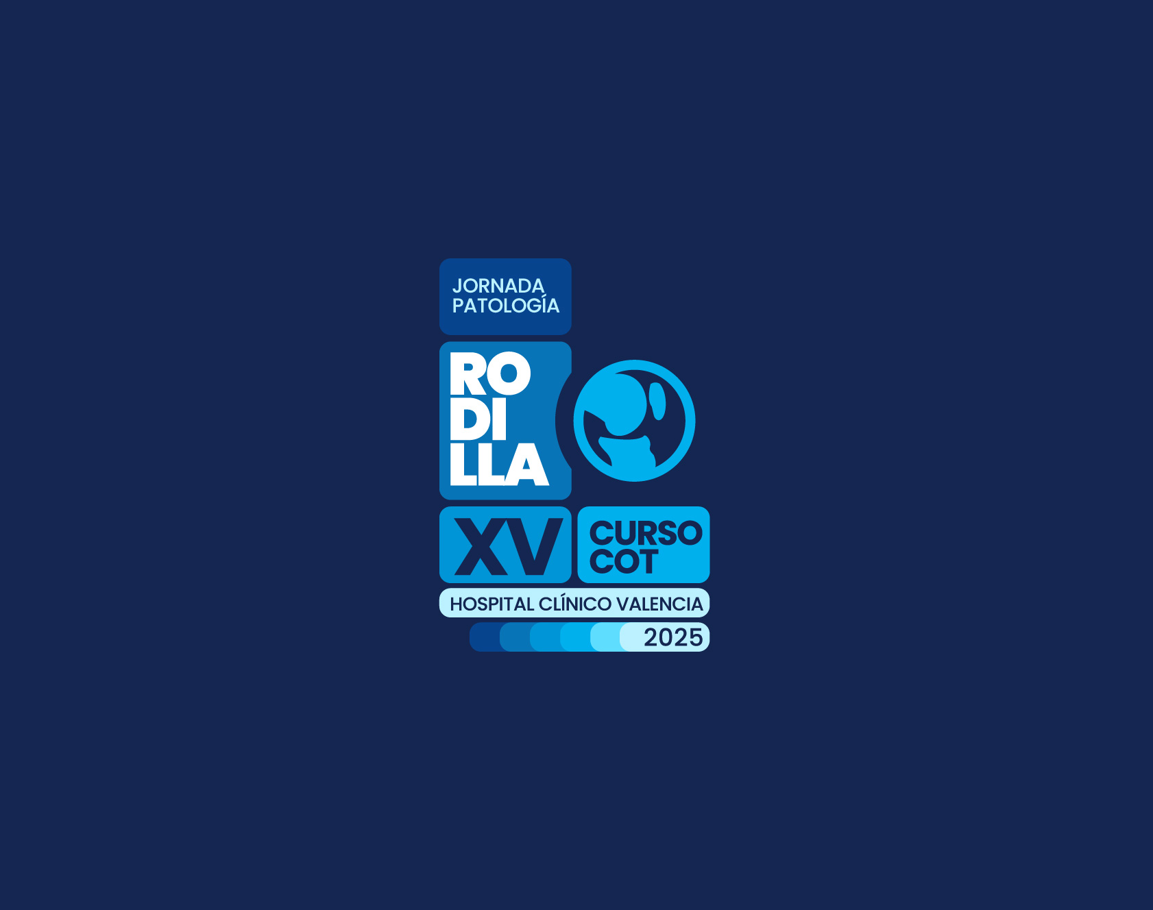 XV_curso_COT-80