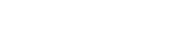 Paragon 28